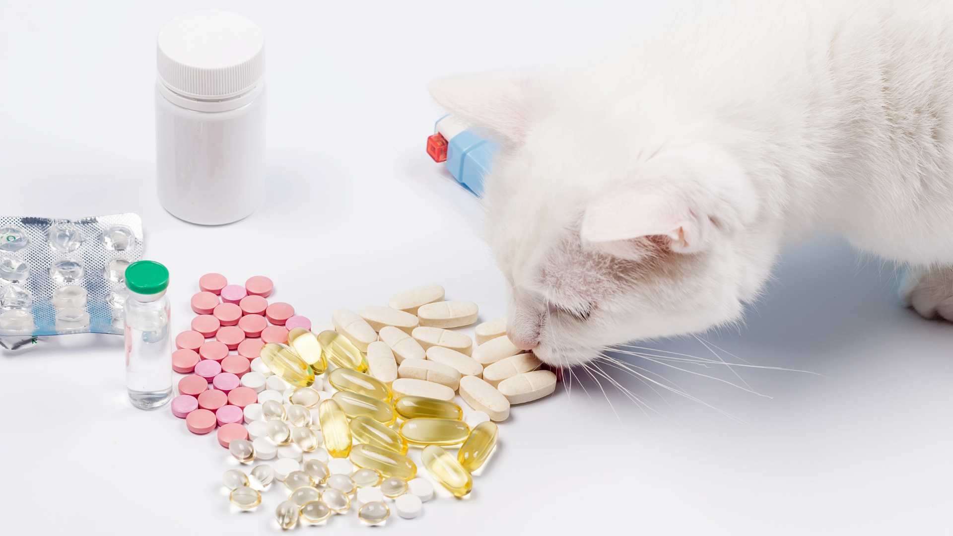 Vitamins in cat food Aller Petfood