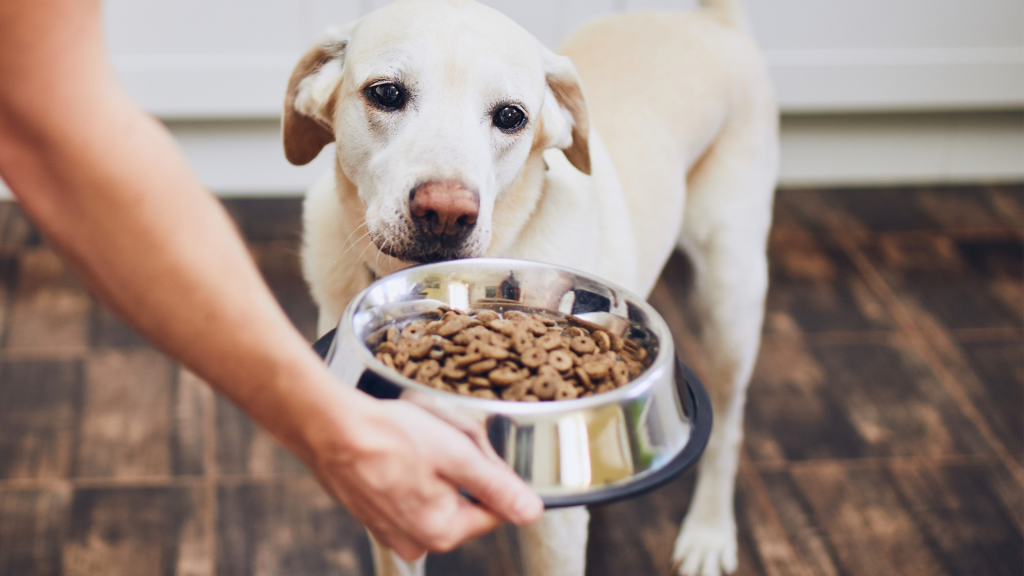 What is the difference between pet food? Aller Petfood