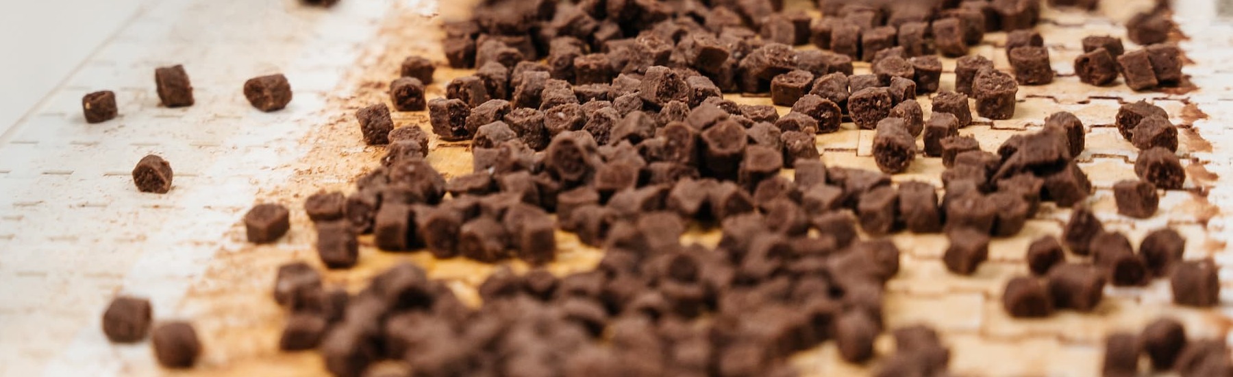 Мясокостная мука для собак: что это, особенности - Aller Petfood